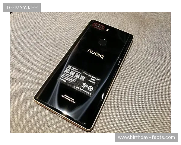 乐鱼手机网址全面升级优化，提供更加稳定流畅的在线娱乐服务体验